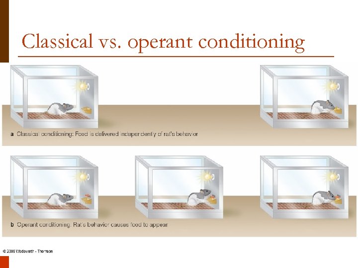Classical vs. operant conditioning 