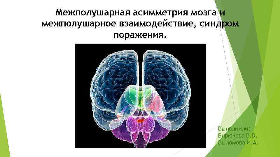 Межполушарная асимметрия мозга и межполушарное взаимодействие, синдром поражения. Выполнили: Бирюкова В. В. Выломова И.