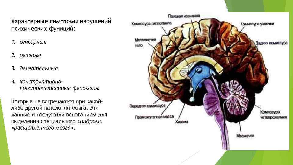 Характерные симптомы нарушений психических функций: 1. сенсорные 2. речевые 3. двигательные 4. конструктивнопространственные феномены