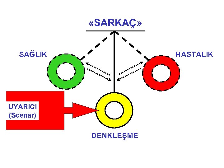  «SARKAÇ» SARKA SAĞLIK HASTALIK UYARICI (Scenar) DENKLEŞME 