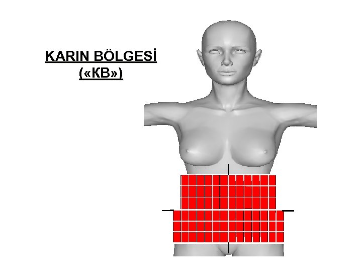 KARIN BÖLGESİ ( «КВ» ) 