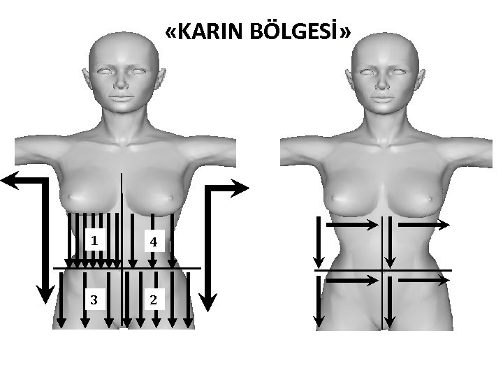 «KARIN BÖLGESİ» 1 4 3 2 