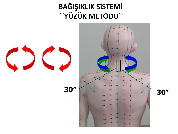 BAĞIŞIKLIK Si. STEMİ ´´YÜZÜK METODU`` 30” 