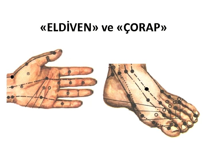  «ELDİVEN» ve «ÇORAP» 