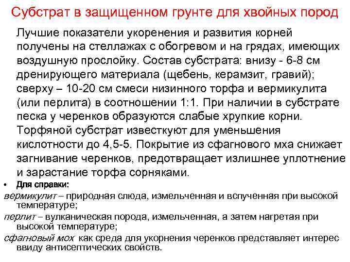 Субстрат в защищенном грунте для хвойных пород • Лучшие показатели укоренения и развития корней