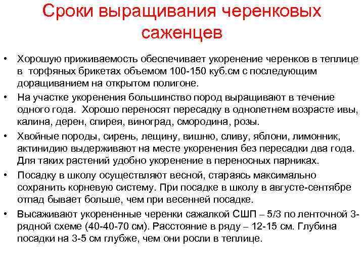 Сроки выращивания черенковых саженцев • Хорошую приживаемость обеспечивает укоренение черенков в теплице в торфяных