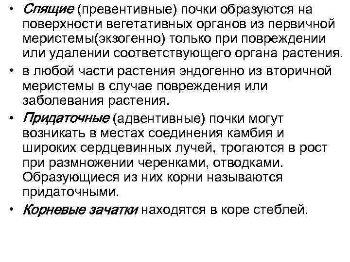  • Спящие (превентивные) почки образуются на поверхности вегетативных органов из первичной меристемы(экзогенно) только