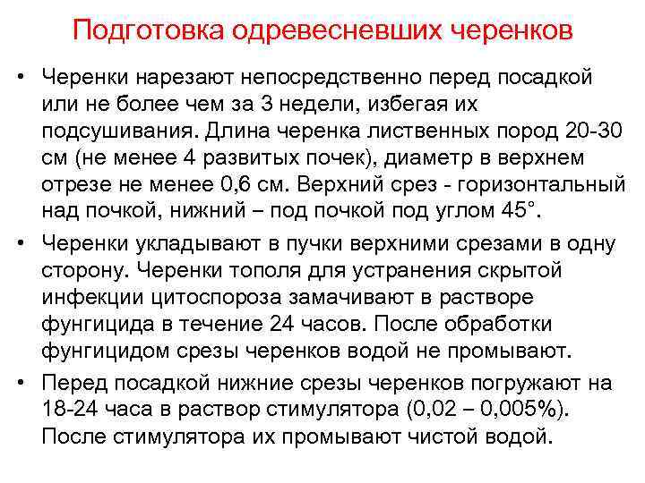 Подготовка одревесневших черенков • Черенки нарезают непосредственно перед посадкой или не более чем за