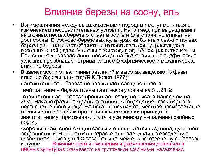 Влияние березы на сосну, ель • Взаимовлияния между высаживаемыми породами могут меняться с изменением