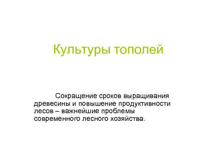 Культуры тополей Сокращение сроков выращивания древесины и повышение продуктивности лесов – важнейшие проблемы современного