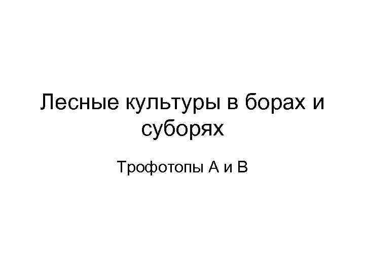 Лесные культуры в борах и суборях Трофотопы А и В 