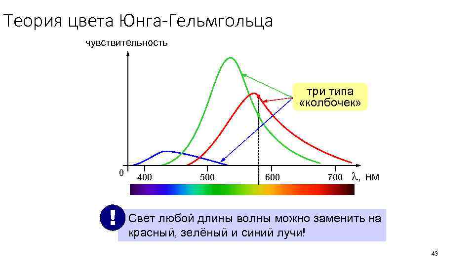 Теория цвета Юнга-Гельмгольца чувствительность три типа «колбочек» 0 ! 400 500 600 700 ,
