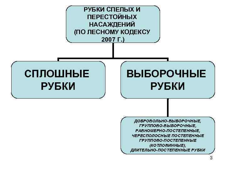 РУБКИ СПЕЛЫХ И ПЕРЕСТОЙНЫХ НАСАЖДЕНИЙ (ПО ЛЕСНОМУ КОДЕКСУ 2007 Г. ) СПЛОШНЫЕ РУБКИ ВЫБОРОЧНЫЕ