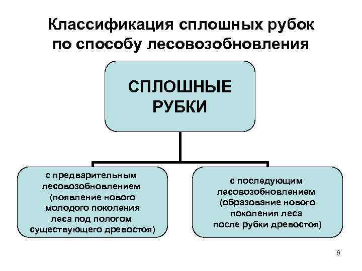 Виды рубок. Сплошные рубки и их классификация. Виды сплошных рубок. Классификация рубок. Классификация видов рубок.