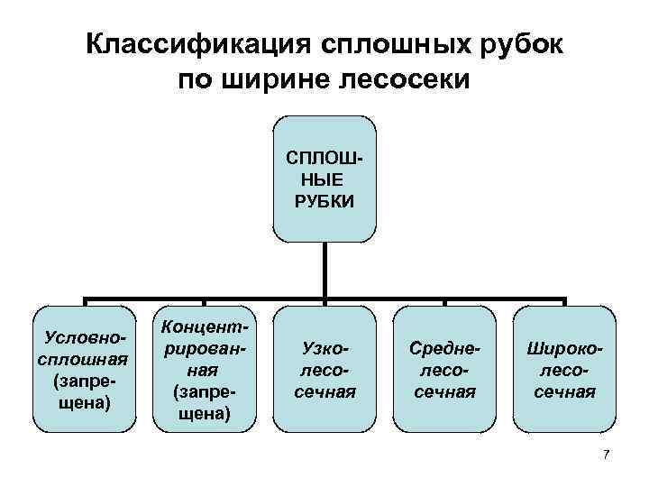 Классификация сплошных рубок по ширине лесосеки СПЛОШ НЫЕ РУБКИ Условносплошная (запре щена) Концентрированная (запре