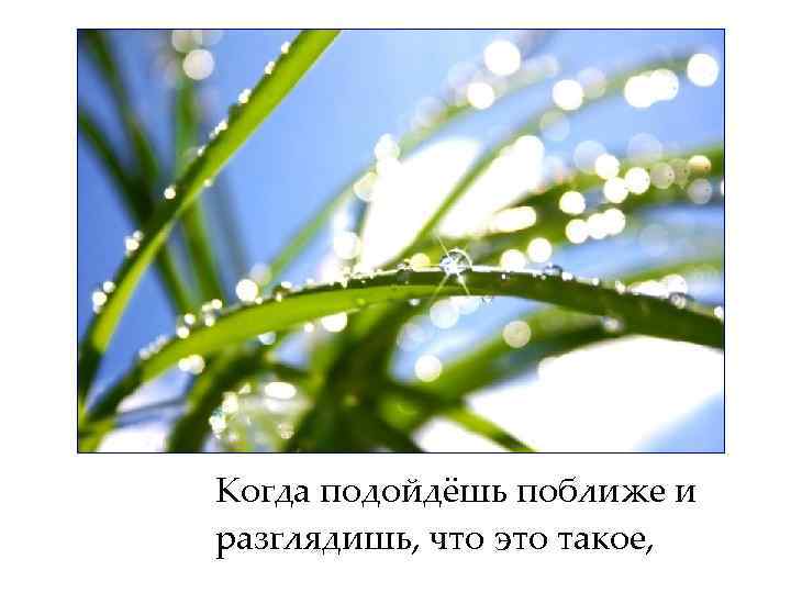 Когда подойдёшь поближе и разглядишь, что это такое, 