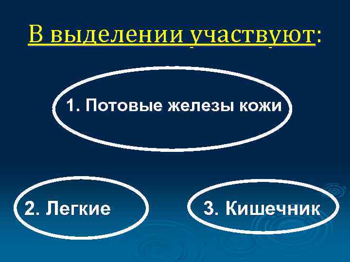 В выделении участвуют: 1. Потовые железы кожи 2. Легкие 3. Кишечник 