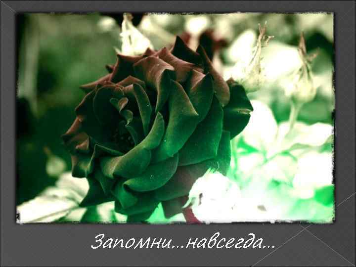 Запомни…навсегда… 