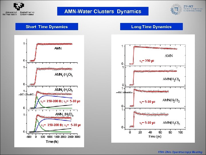 AMN-Water Clusters Dynamics Short Time Dynamics Long Time Dynamics τ3= 350 ps τ1= 150
