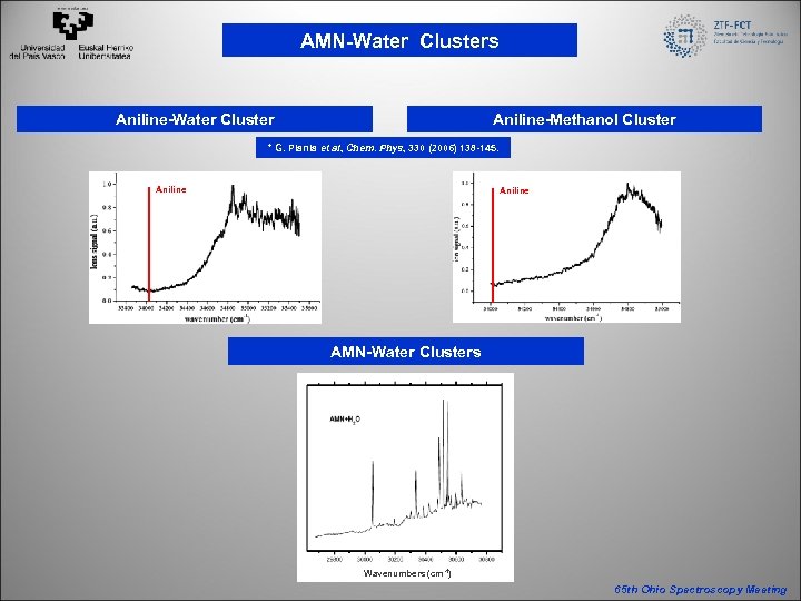 AMN-Water Clusters Aniline-Water Cluster Aniline-Methanol Cluster * G. Piania et al, Chem. Phys, 330