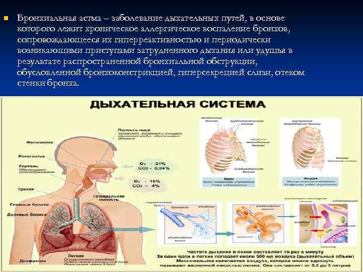 Болезни дыхательных путей