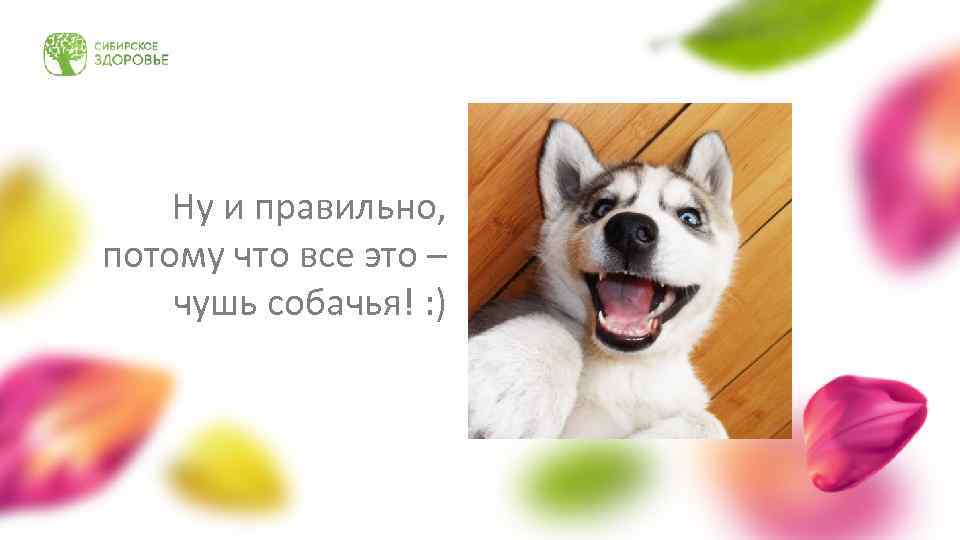 Ну и правильно, потому что все это – чушь собачья! : ) 