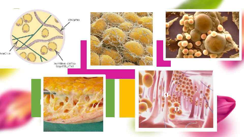 УСЛОВИЯ ДЛЯ СНИЖЕНИЯ ВЕСА ТРАТЬТЕ БОЛЬШЕ КАЛОРИЙ 