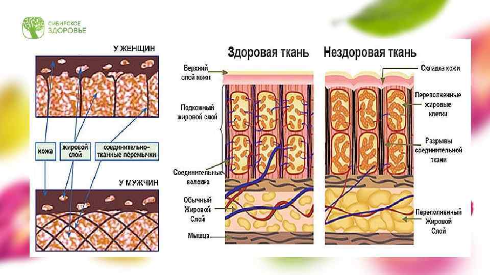 Для начала нам необходимо создать… УСЛОВИЯ ДЛЯ СНИЖЕНИЯ ВЕСА ТРАТЬТЕ БОЛЬШЕ КАЛОРИЙ ПОТРЕБЛЯЙТЕ МЕНЬШЕ