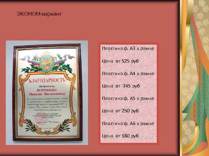 ЭКОНОМ-вариант Пластина ф. А 3 в рамке Цена от 525 руб Пластина ф. А