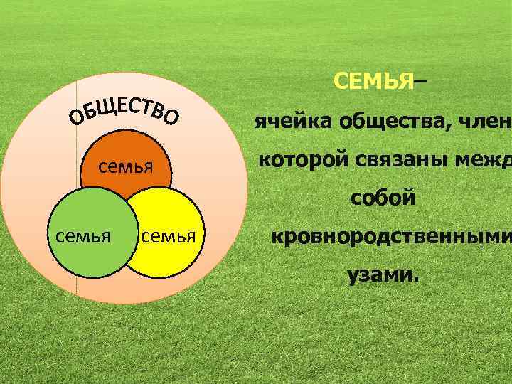 СЕМЬЯ– ячейка общества, член семья которой связаны межд собой семья кровнородственными узами. 