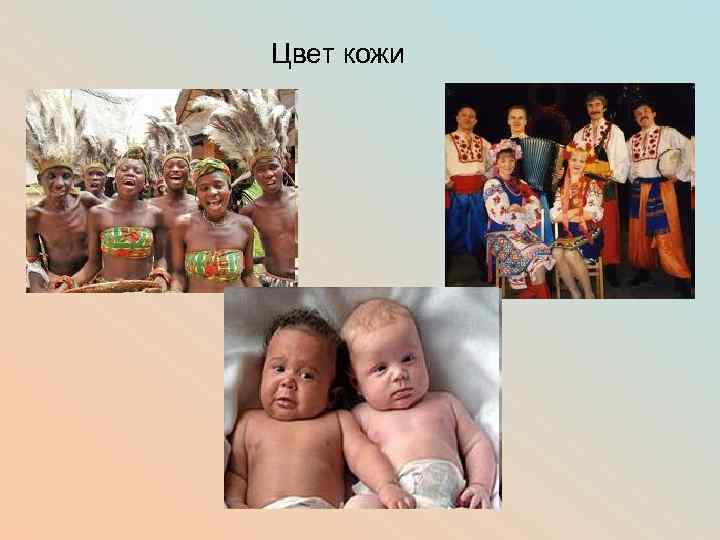 Цвет кожи 