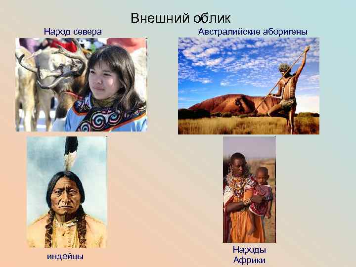 Внешний облик Народ севера индейцы Австралийские аборигены Народы Африки 