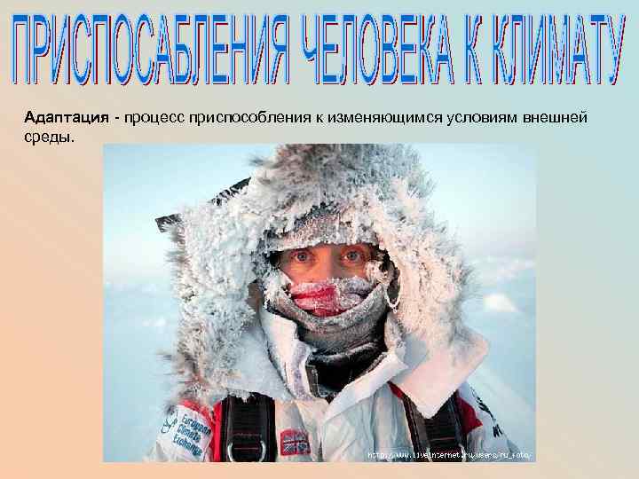 Адаптация - процесс приспособления к изменяющимся условиям внешней среды. 