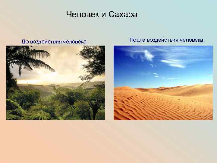 Человек и Сахара До воздействия человека После воздействия человека 