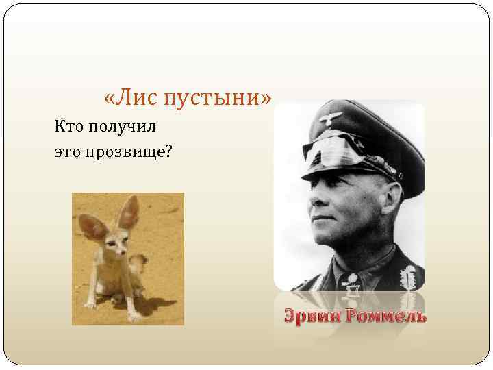  «Лис пустыни» Кто получил это прозвище? 