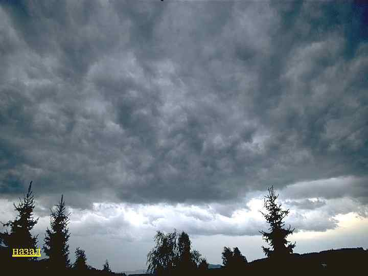 назад 