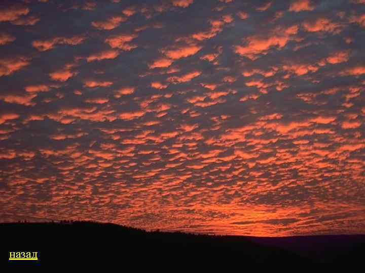 назад 