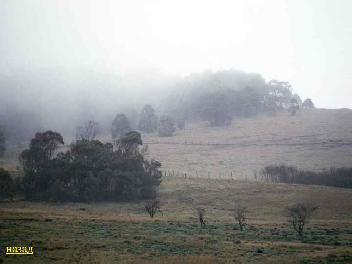 назад 