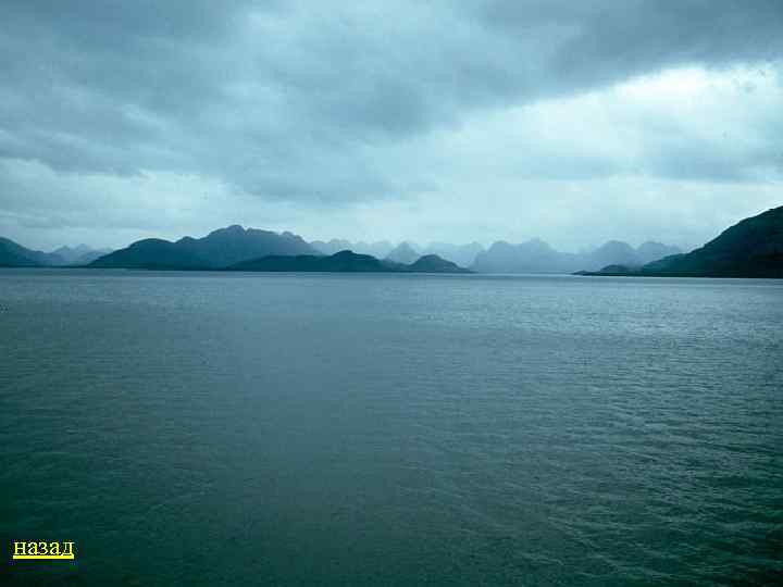 назад 