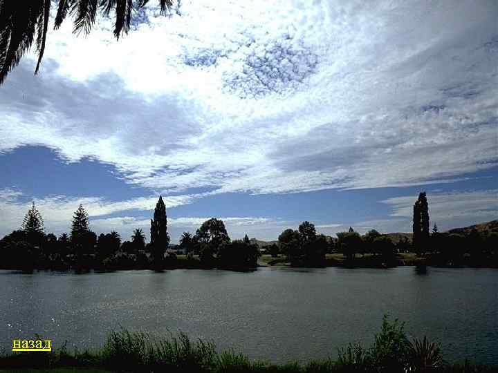 назад 