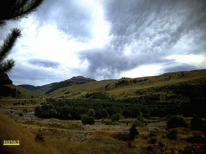 назад 