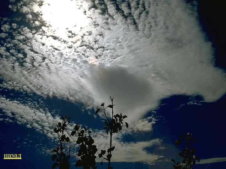 назад 