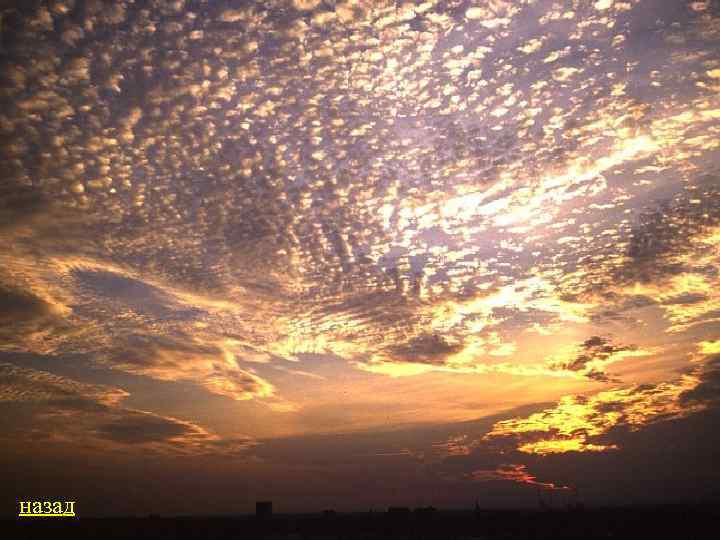 назад 