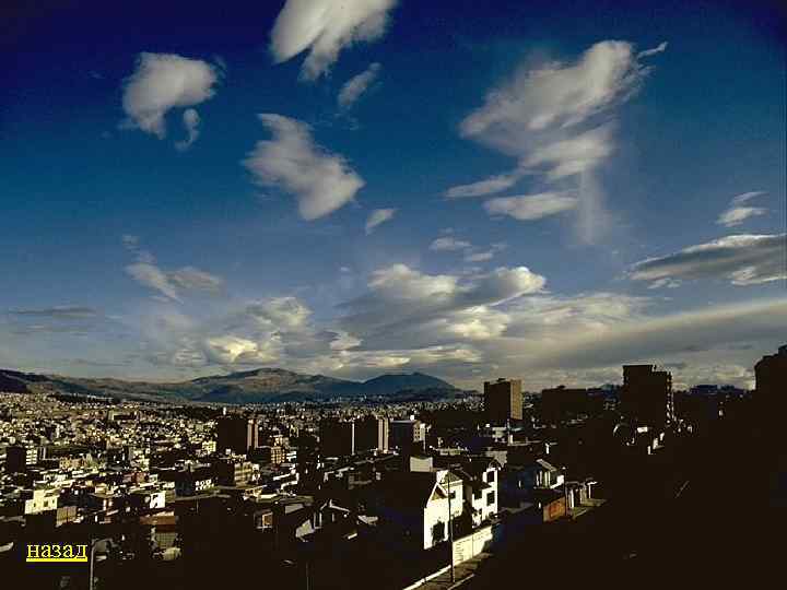 назад 