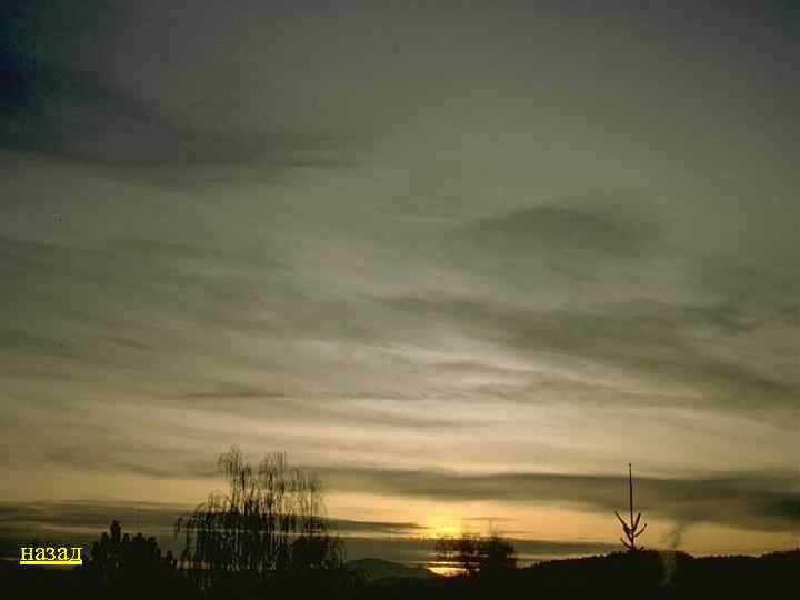 назад 