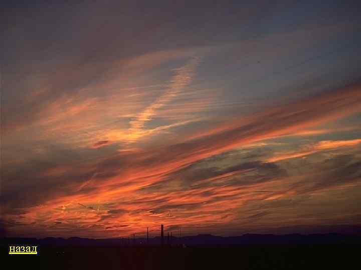 назад 