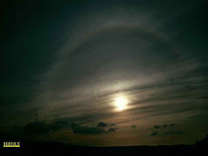 назад 