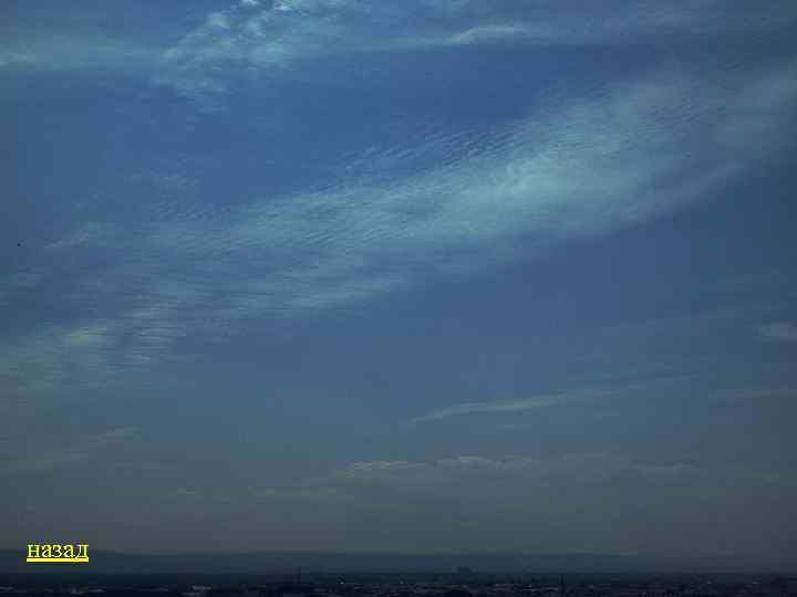 назад 