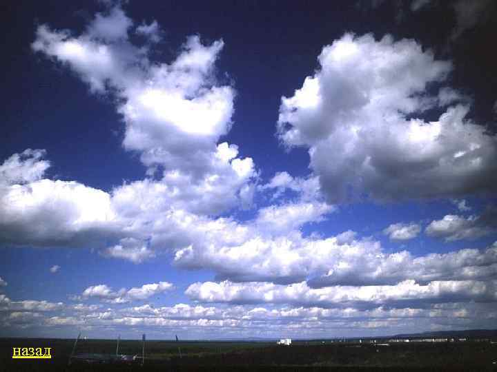 назад 