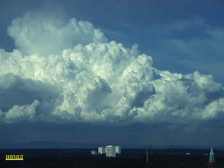 назад 